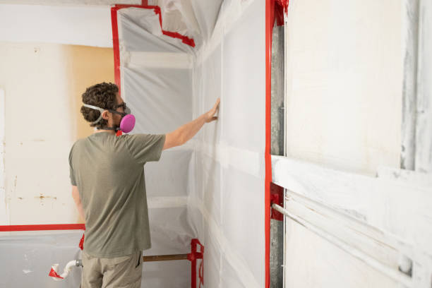 Best Mold Removal for HVAC Installations  in St Louis, MI