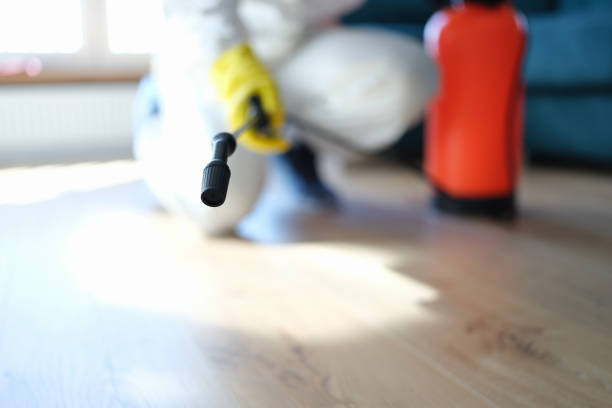 Best Indoor Air Quality Assessment  in St Louis, MI