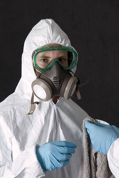Best Water Damage & Mold Remediation  in St Louis, MI
